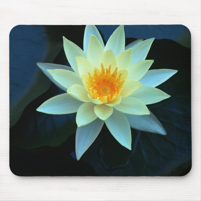 Mousepad Lotus flower power (Frente)