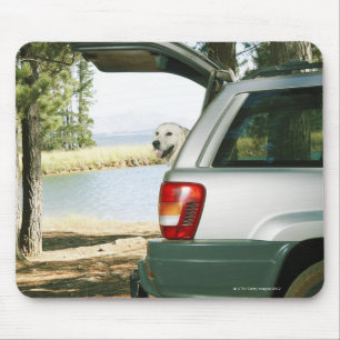Mousepad Lourensford, Somerset West, África do Sul