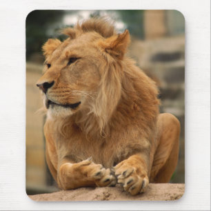 Mousepad Löwe mit Punkerfrisur