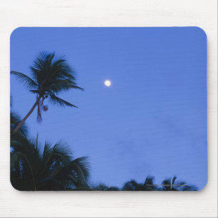 Mousepad Lua brilhantemente iluminada, silhueta de árvores