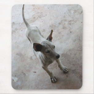 Mousepad Luk Maa... Tailandês Soi Puppy Cão
