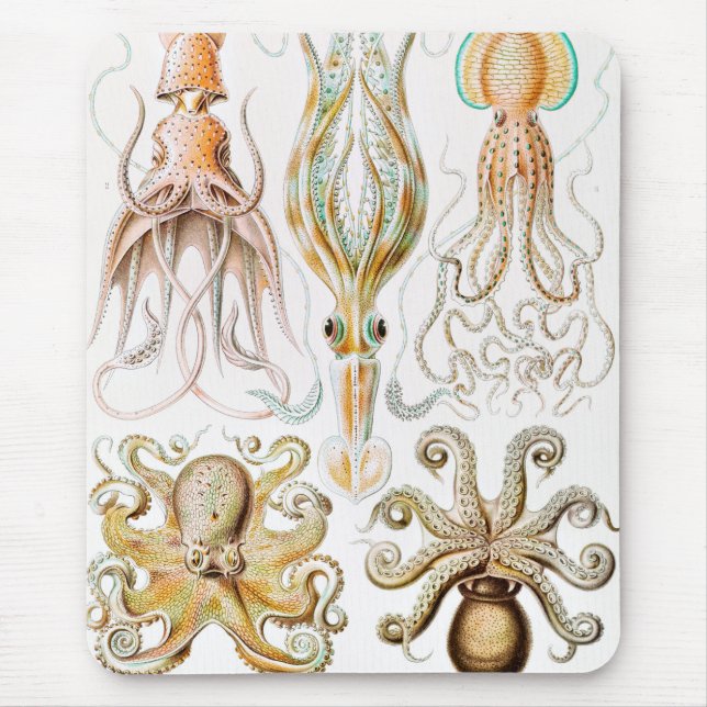 Mousepad Lula de Octopus, Gamochonia por Ernst Haeckel (Frente)