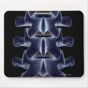 Mousepad Lumbar Vertebra 2