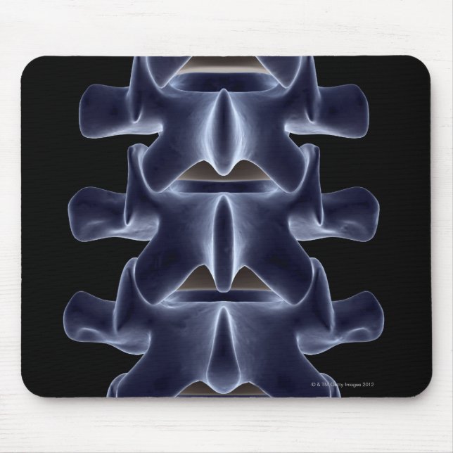 Mousepad Lumbar Vertebra 2 (Frente)