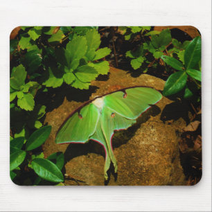 Mousepad Luna verde-gigante