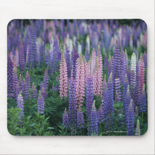 Mousepad Lupine