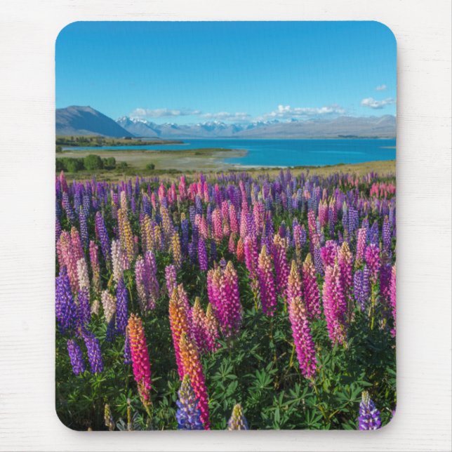 Mousepad Lupines de Russle no lago Tekapo | Nova Zelândia (Frente)