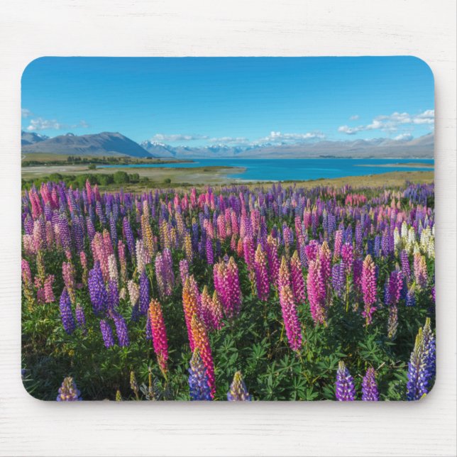 Mousepad Lupines de Russle no lago Tekapo | Nova Zelândia (Frente)