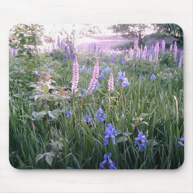 Mousepad Lupines & íris (Frente)