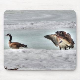 Mousepad Lutando com o Canadá sobre a fauna selvagem em gan