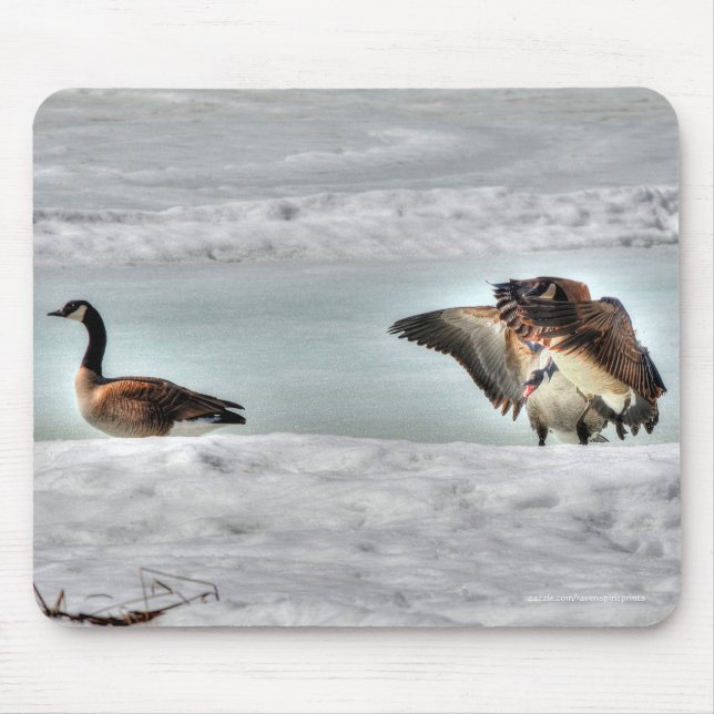 Mousepad Lutando com o Canadá sobre a fauna selvagem em gan (Frente)