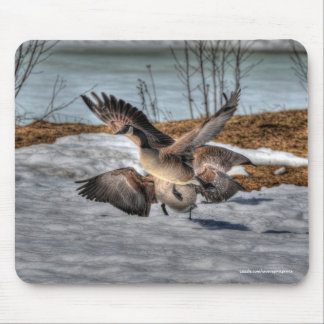 Mousepad Lutando com o Canadá sobre a fauna selvagem em gan