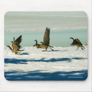 Mousepad Lutando com o Canadá sobre a fauna selvagem em gan