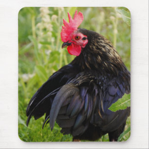 Mousepad Lutar contra o galo