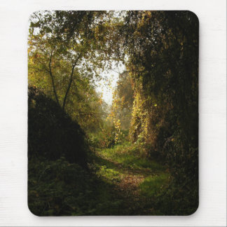 Mousepad Luz da manhã do bosque do carvalho