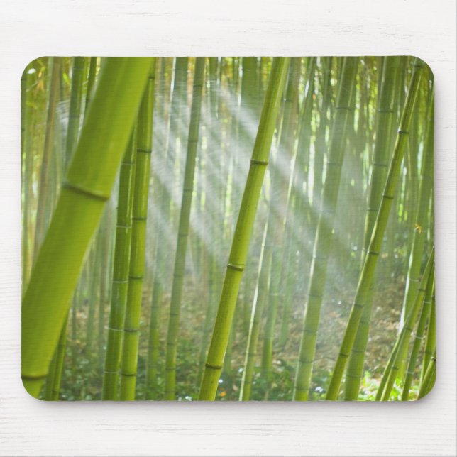 Mousepad Luz da manhã filtrando através do bambu (Frente)