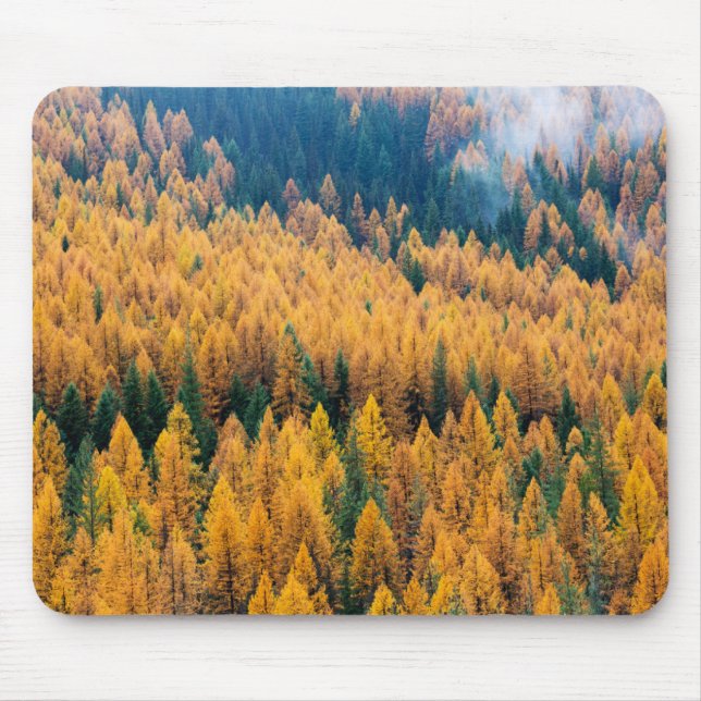 Mousepad Luz da manhã na praia | Tybee Island (Frente)