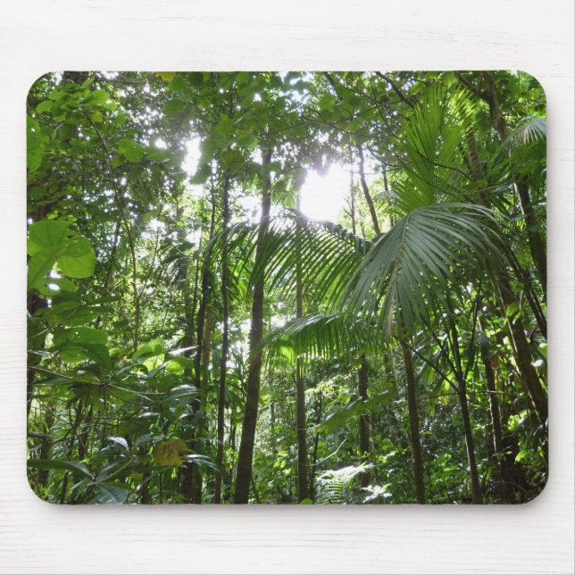 Mousepad Luz do sol através da capa tropical da floresta tr (Frente)