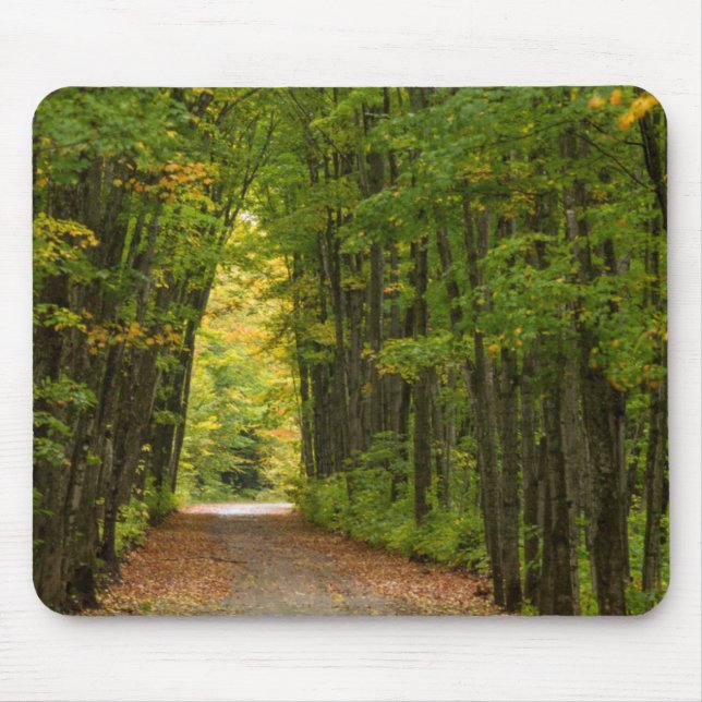 Mousepad Luz no Fim de um Túnel de Árvores (Frente)
