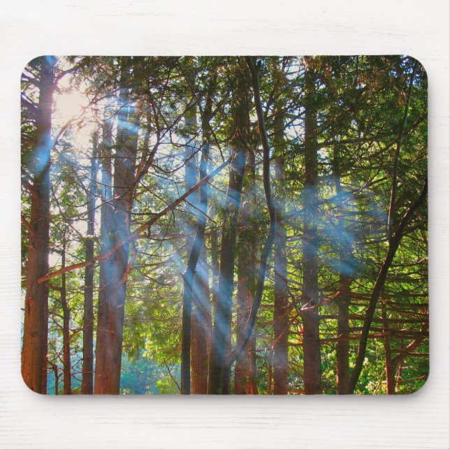 Mousepad Luz Solar Atravessando os Pinheiros (Frente)