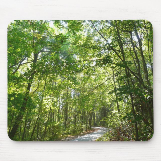 Mousepad Luz Solar no Caminho Arborizado no Centennial Park (Frente)