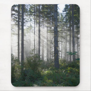 Mousepad Luz solar que quebra através de uma floresta