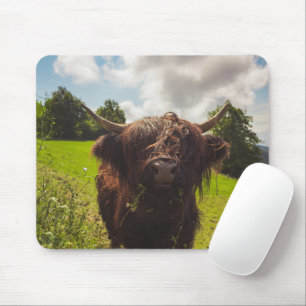 Mousepad Luz verde do campo verde da vaca em lata negra