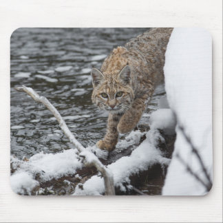 Mousepad Lynx