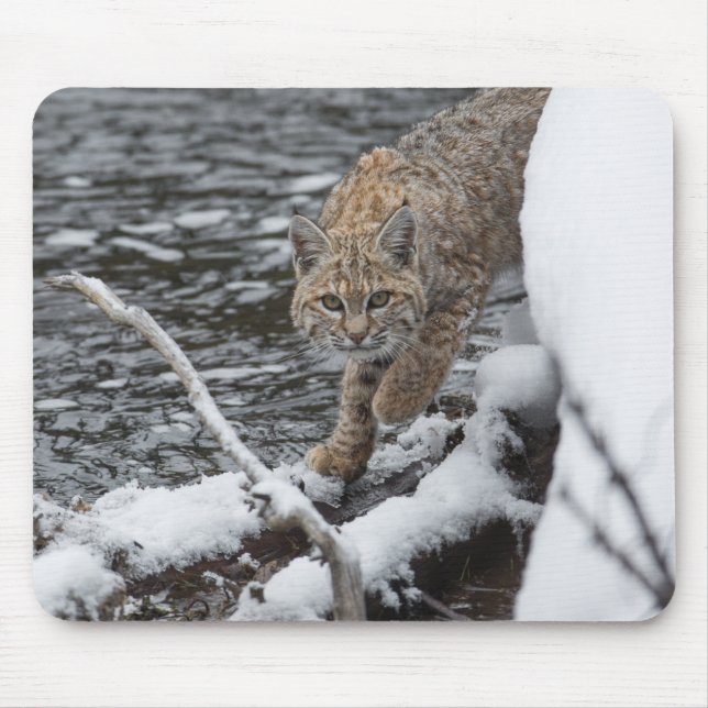 Mousepad Lynx (Frente)