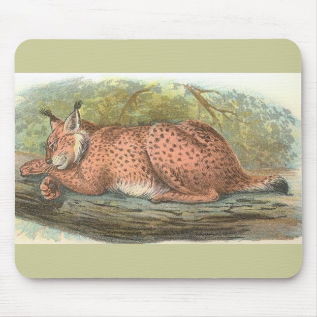 Mousepad Lynx, Felis Lynx (Frente)