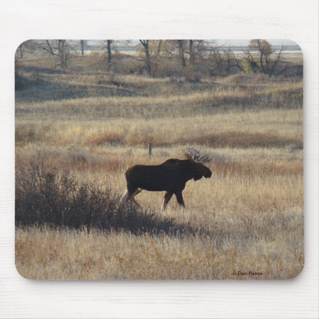 Mousepad M5 Bull Moose (Frente)