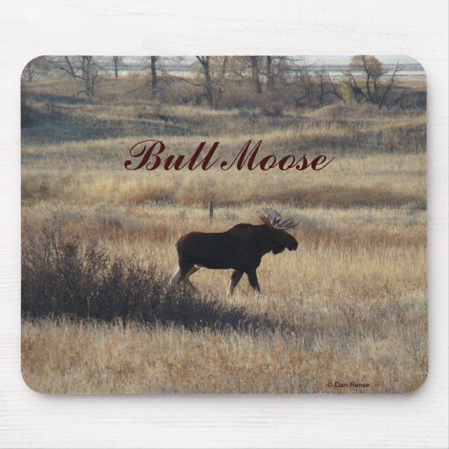 Mousepad M5 Bull Moose (Frente)