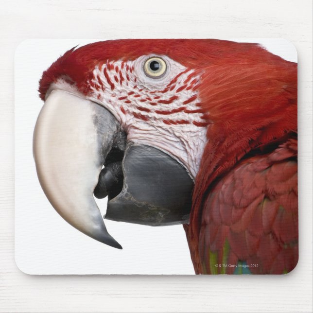 Mousepad Maca vermelha e verde - Ara chloropterus (Frente)