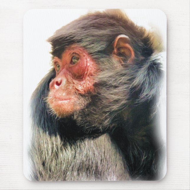 MOUSEPAD MACACA DE ARANHA (Frente)