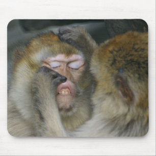 Mousepad Macaca sylvanus