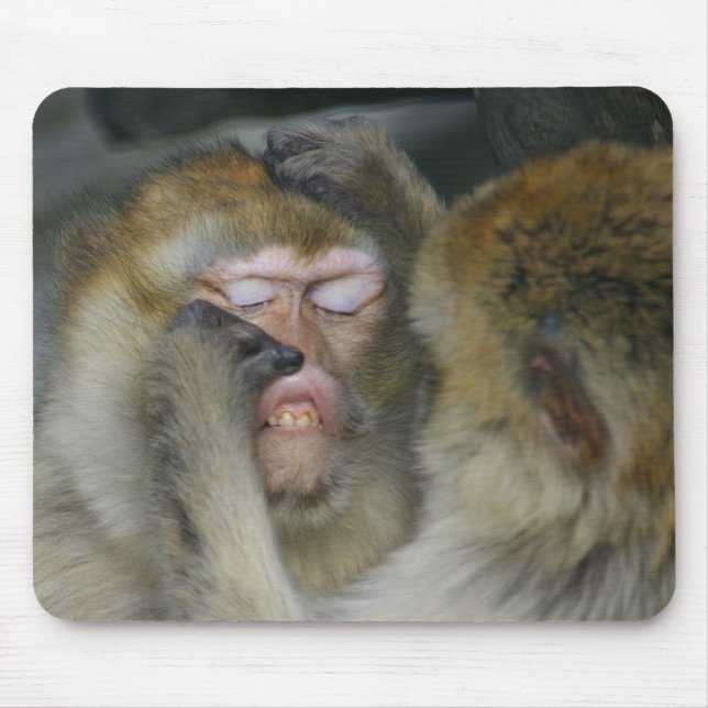Mousepad Macaca sylvanus (Frente)