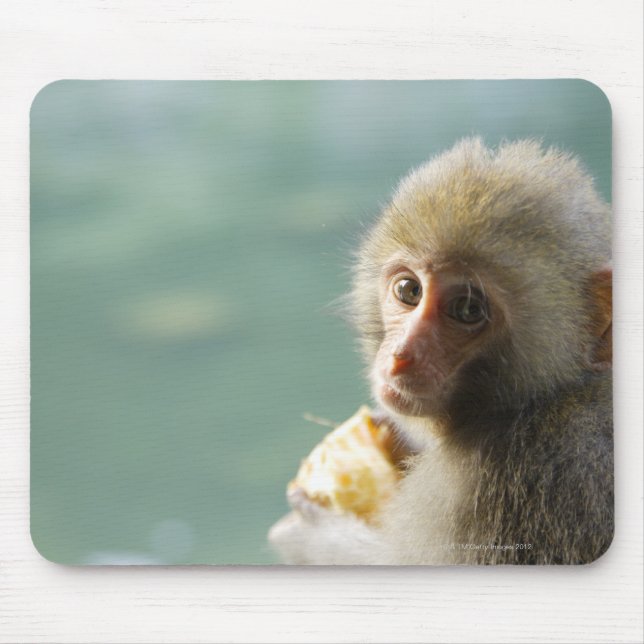 Mousepad Macaco (Frente)