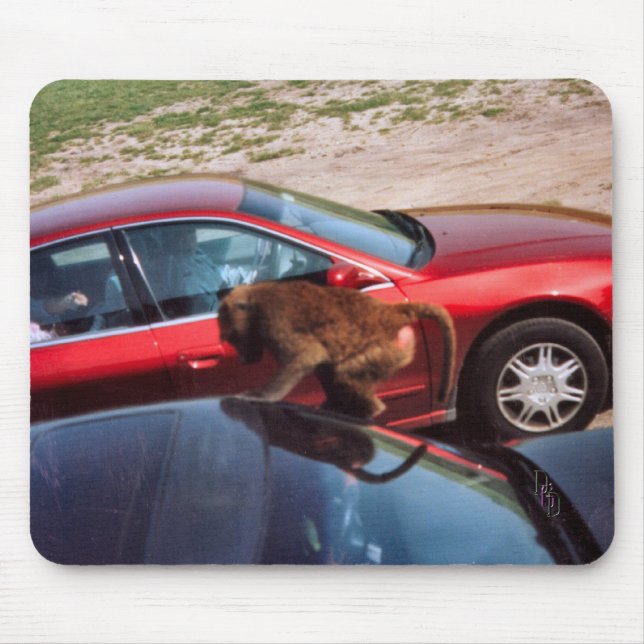 Mousepad Macaco (Frente)