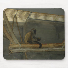 Mousepad macaco