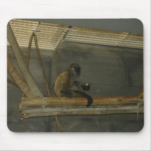 Mousepad macaco
