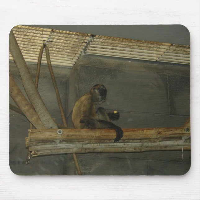 Mousepad macaco (Frente)