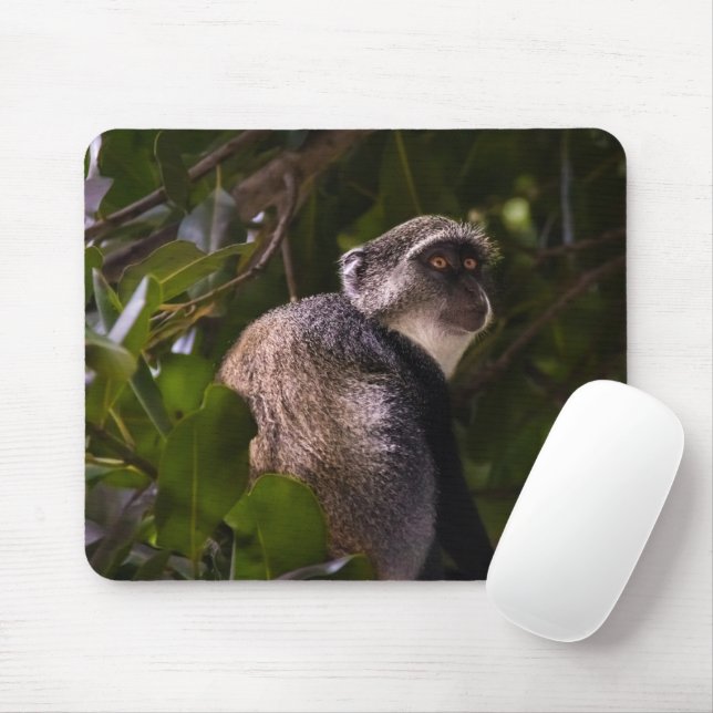 Mousepad Macaco azul, Zanzibar (Com mouse)