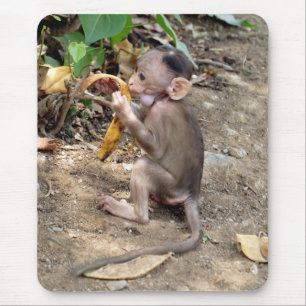 Mousepad Macaco-Bebê