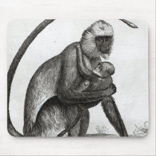 Mousepad Macaco brasileiro