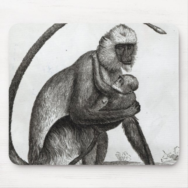 Mousepad Macaco brasileiro (Frente)