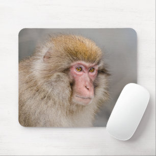 Mousepad Macaco Brown Snow, fotografia japonesa