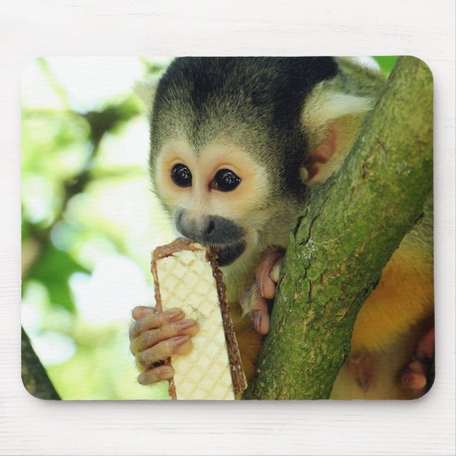 Mousepad Macaco de esquilo que come um biscoito da bolacha (Frente)