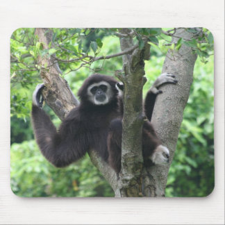 Mousepad Macaco de ondulação