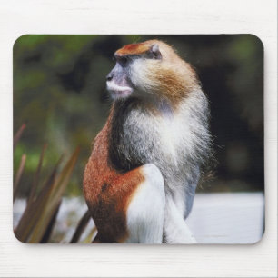Mousepad Macaco de Patas
