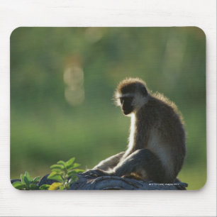 Mousepad Macaco do Savanna